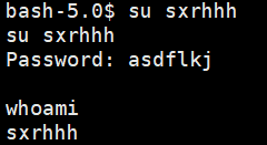 image-20250205235727127