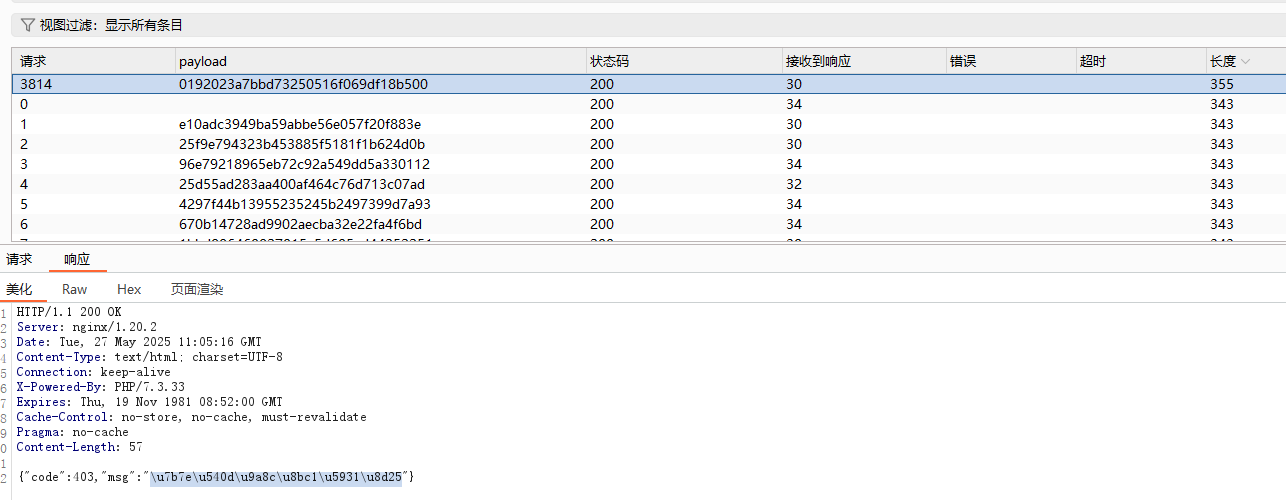 image-20250527190641346