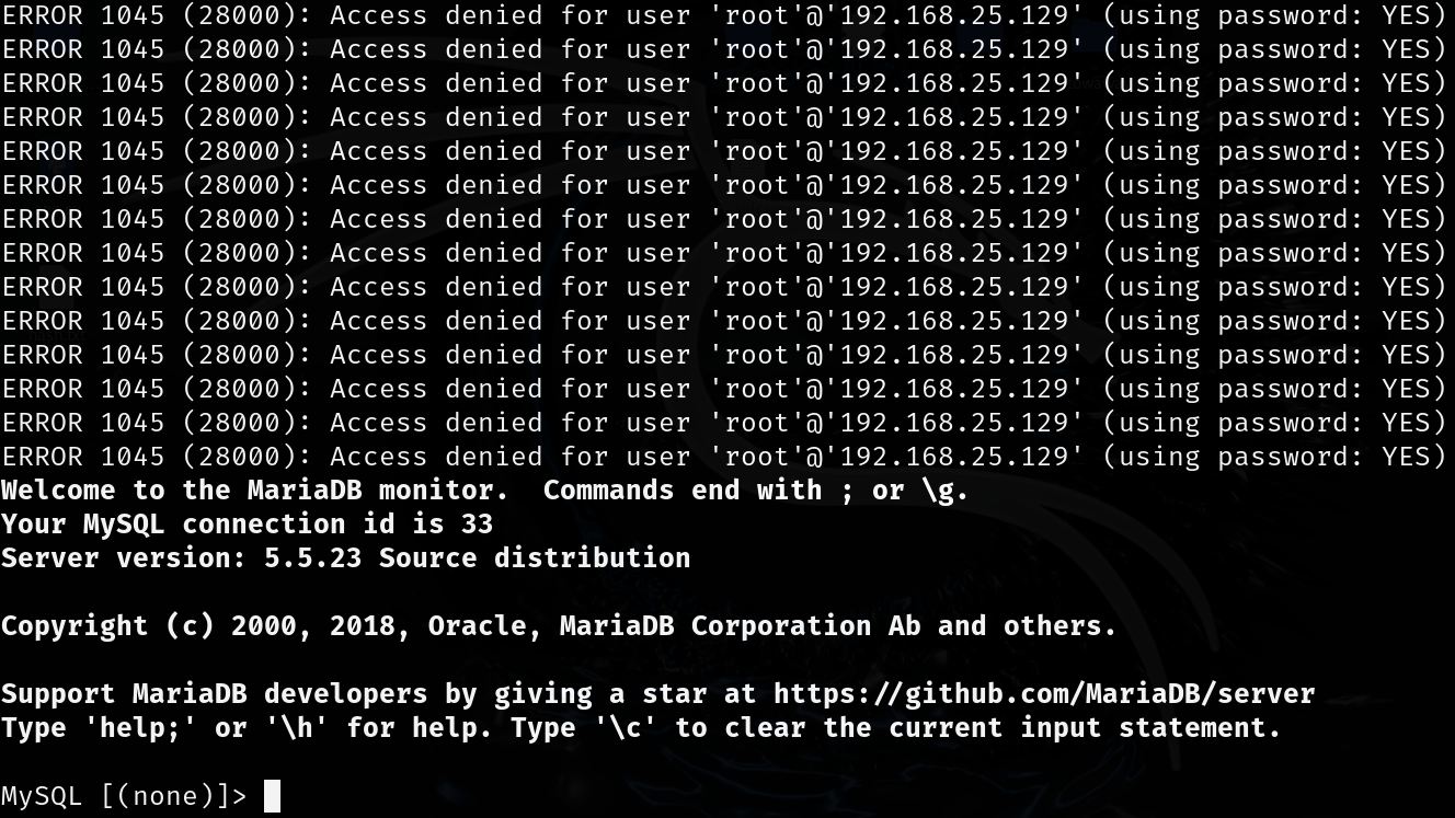 image-20250423220632804